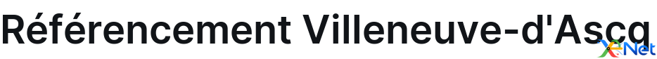 Référencement Villeneuve-d'Ascq